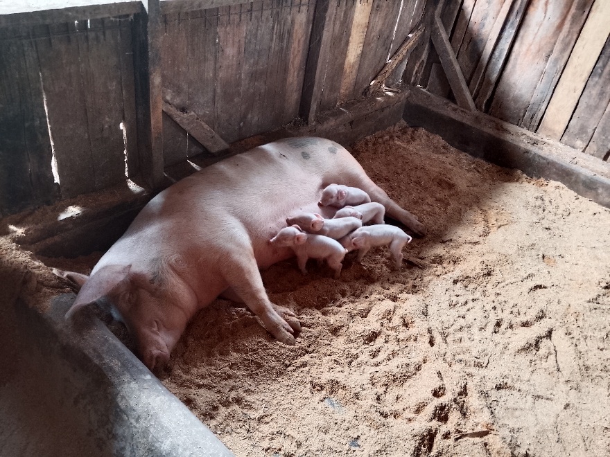 Economic Empowerment